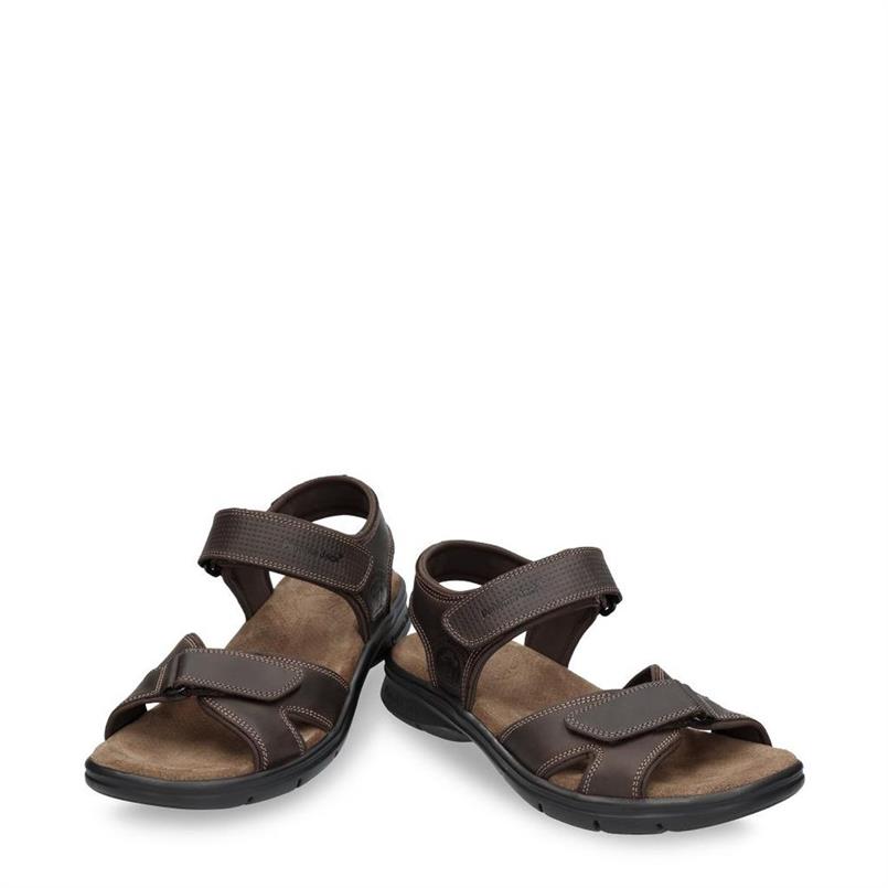Sanders basics c1