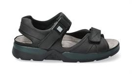 Shark fit black