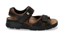 Shark fit dark brown