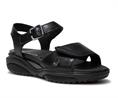 Skala h 30312.5.001