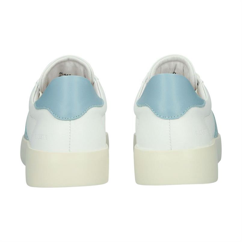 Skarn ray light blue