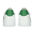 Skarn ray white green