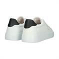 Skarn ray white