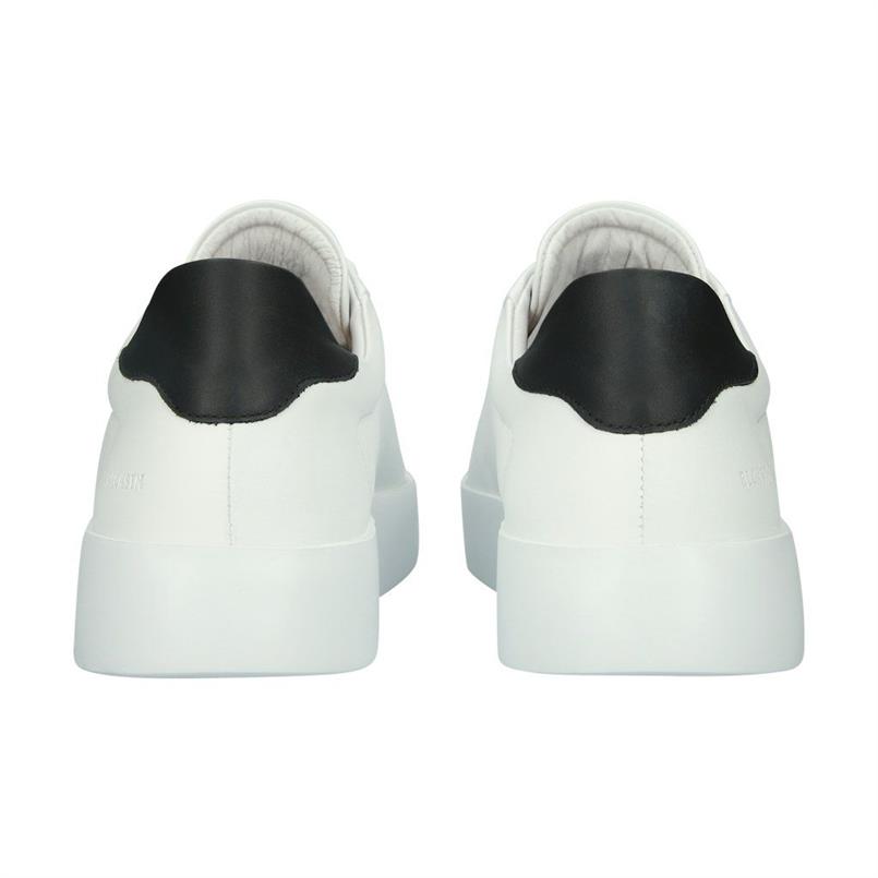 Skarn ray white