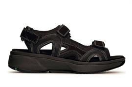 Timor hx 002