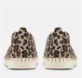 Tulip 3275 leo latte