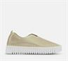 Tulip 3577 platin white