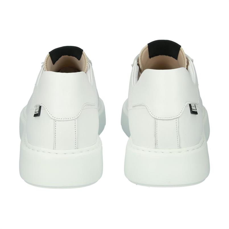 Xg10 white
