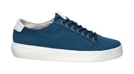 Zg30 blue ashes