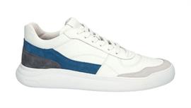 Zg33 white blue