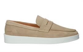 Zg43 mouton