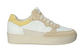 Zl92 yellow white